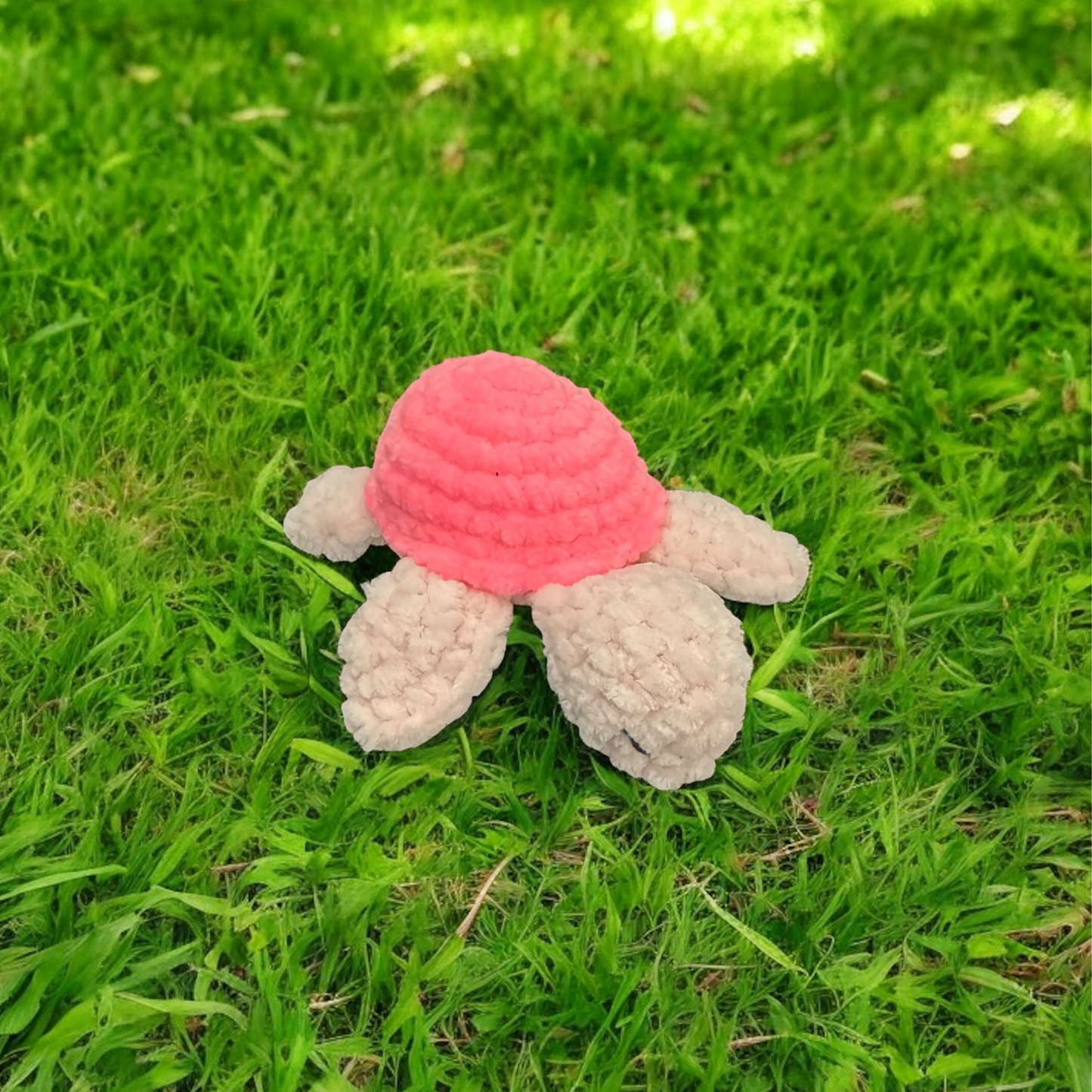 Petite tortue