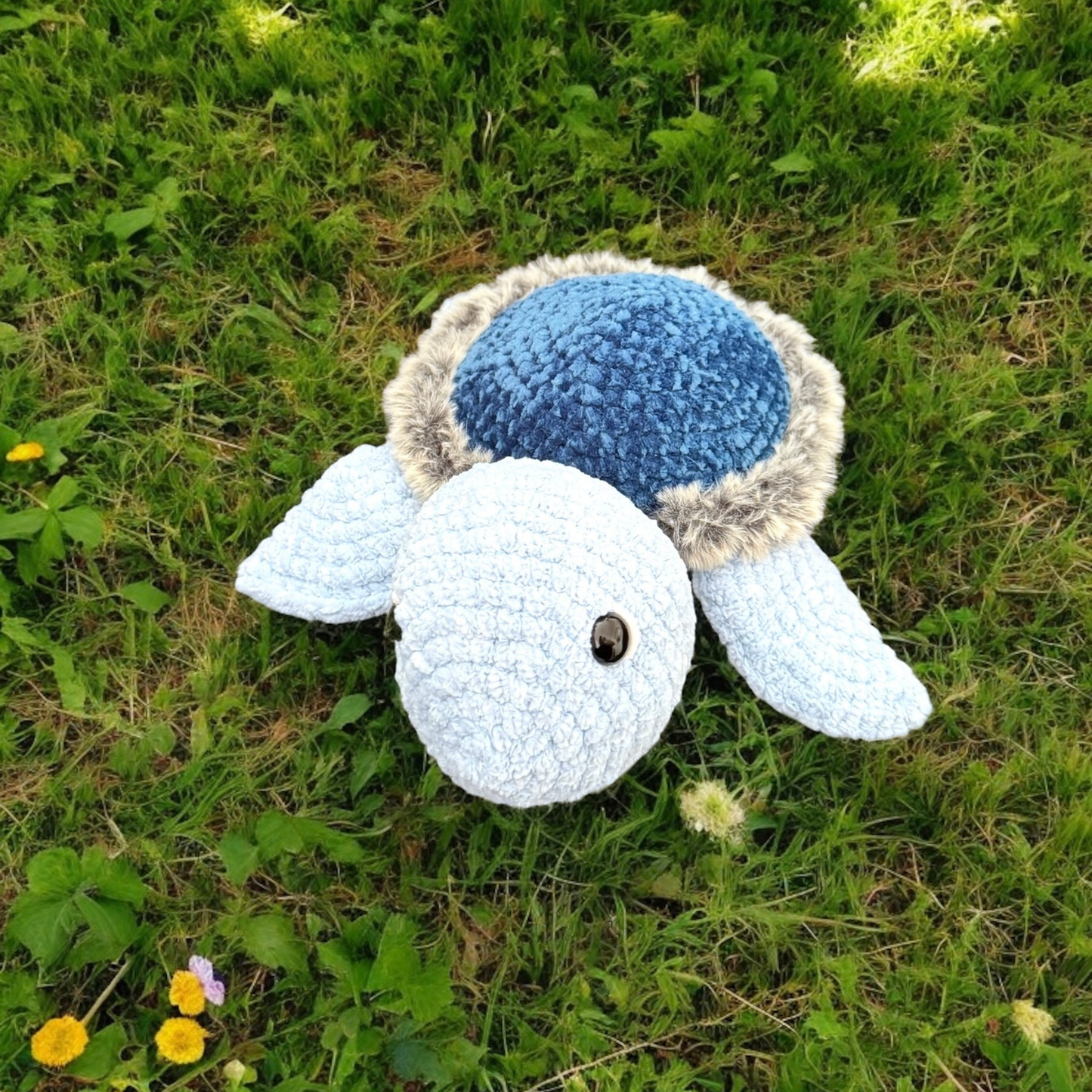 Grande tortue