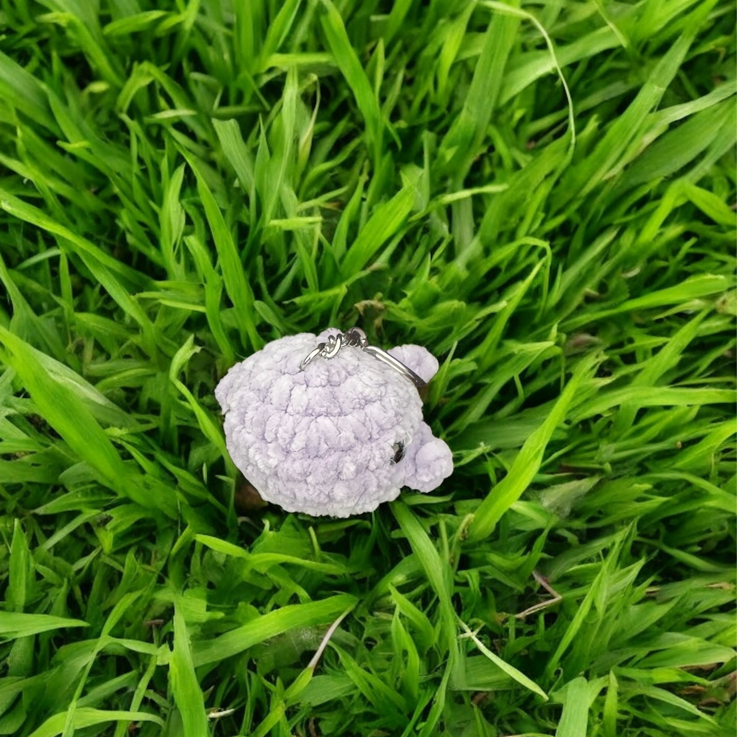 Mini baleine