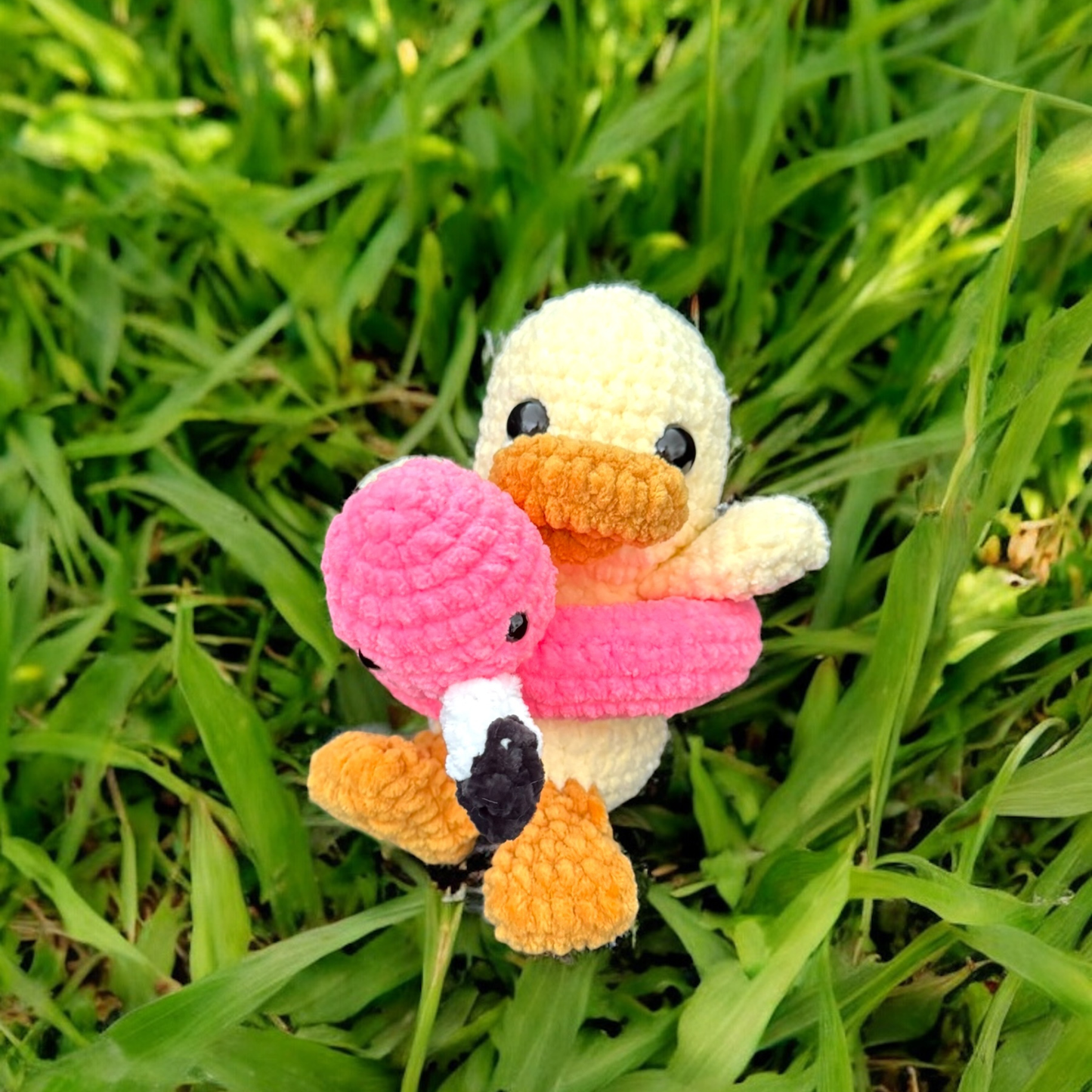 Canard bouée