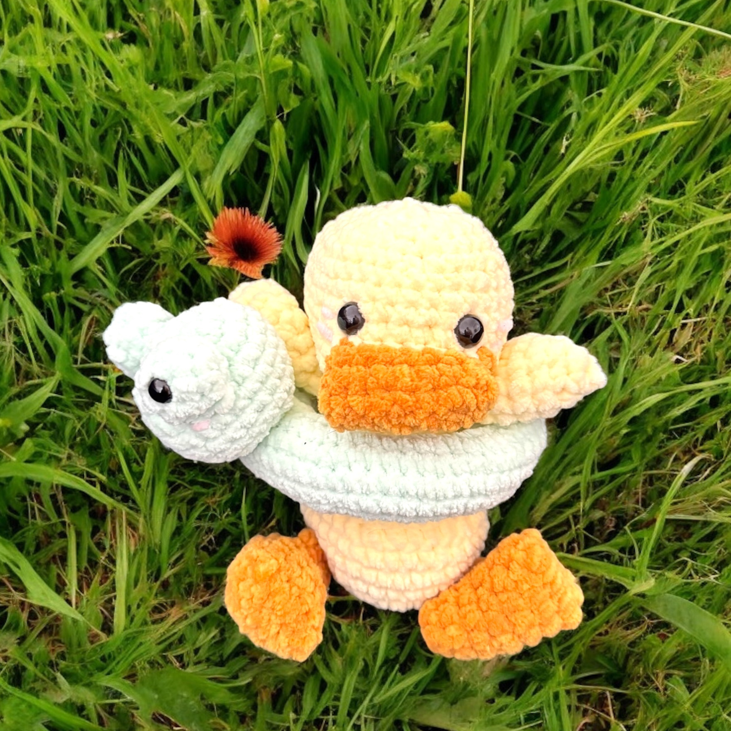Canard bouée