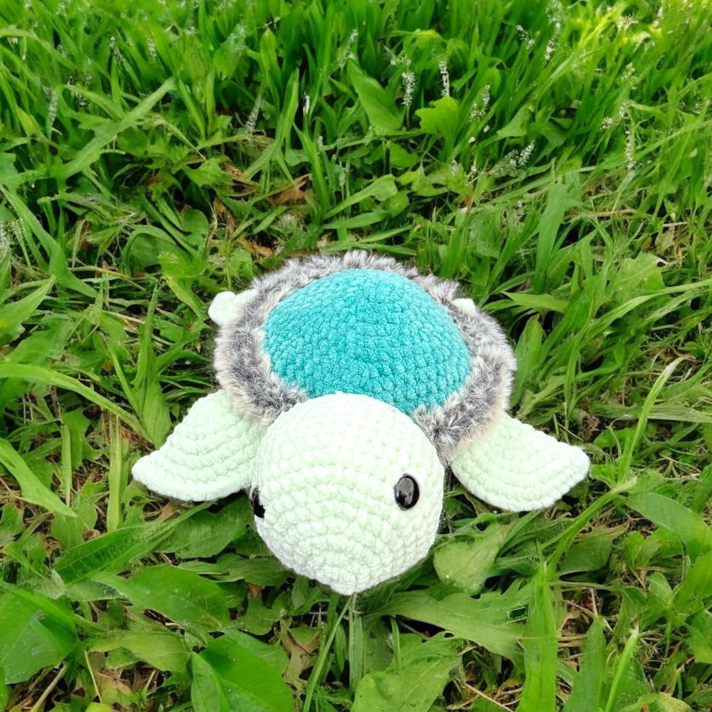 Grande tortue