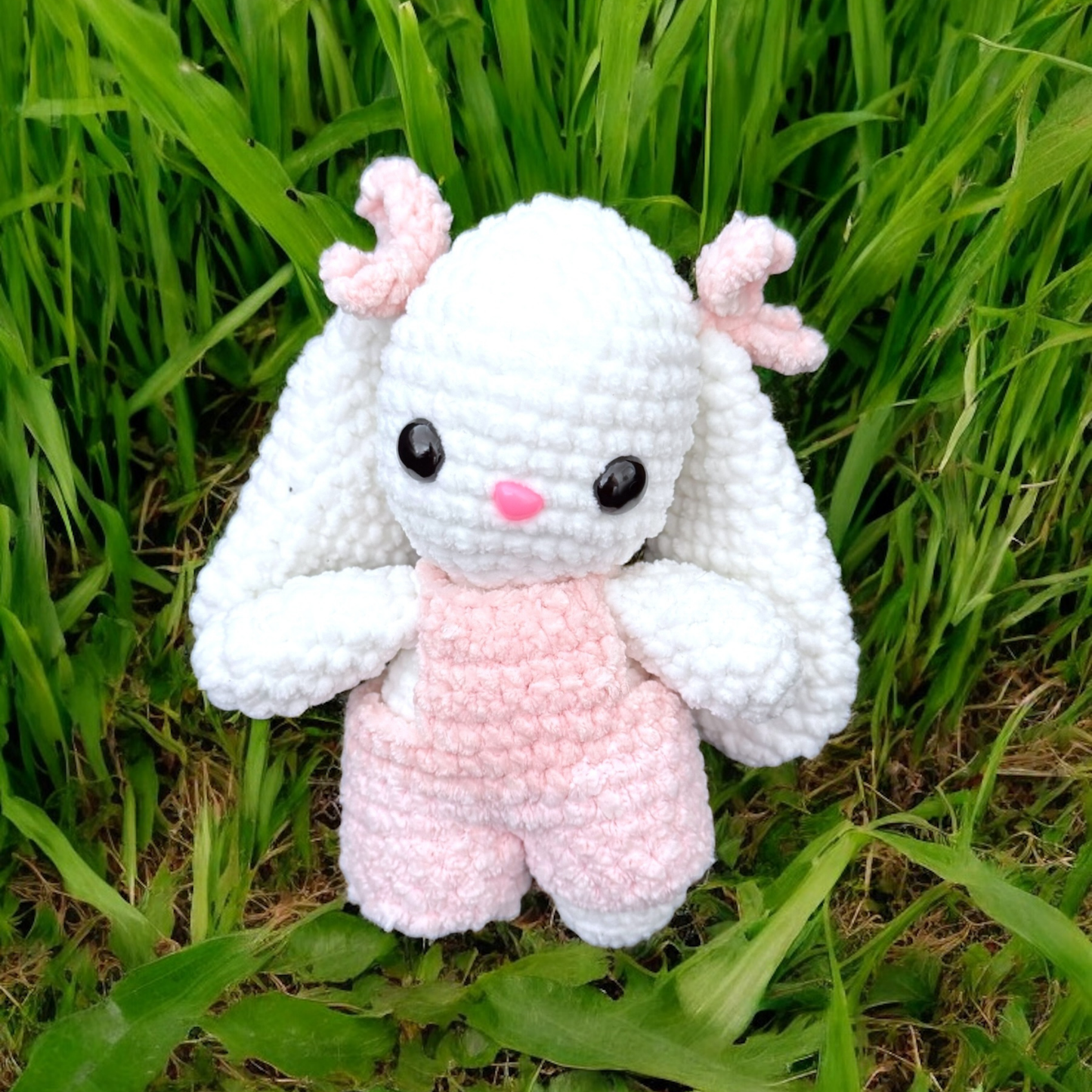 Lulli bunny