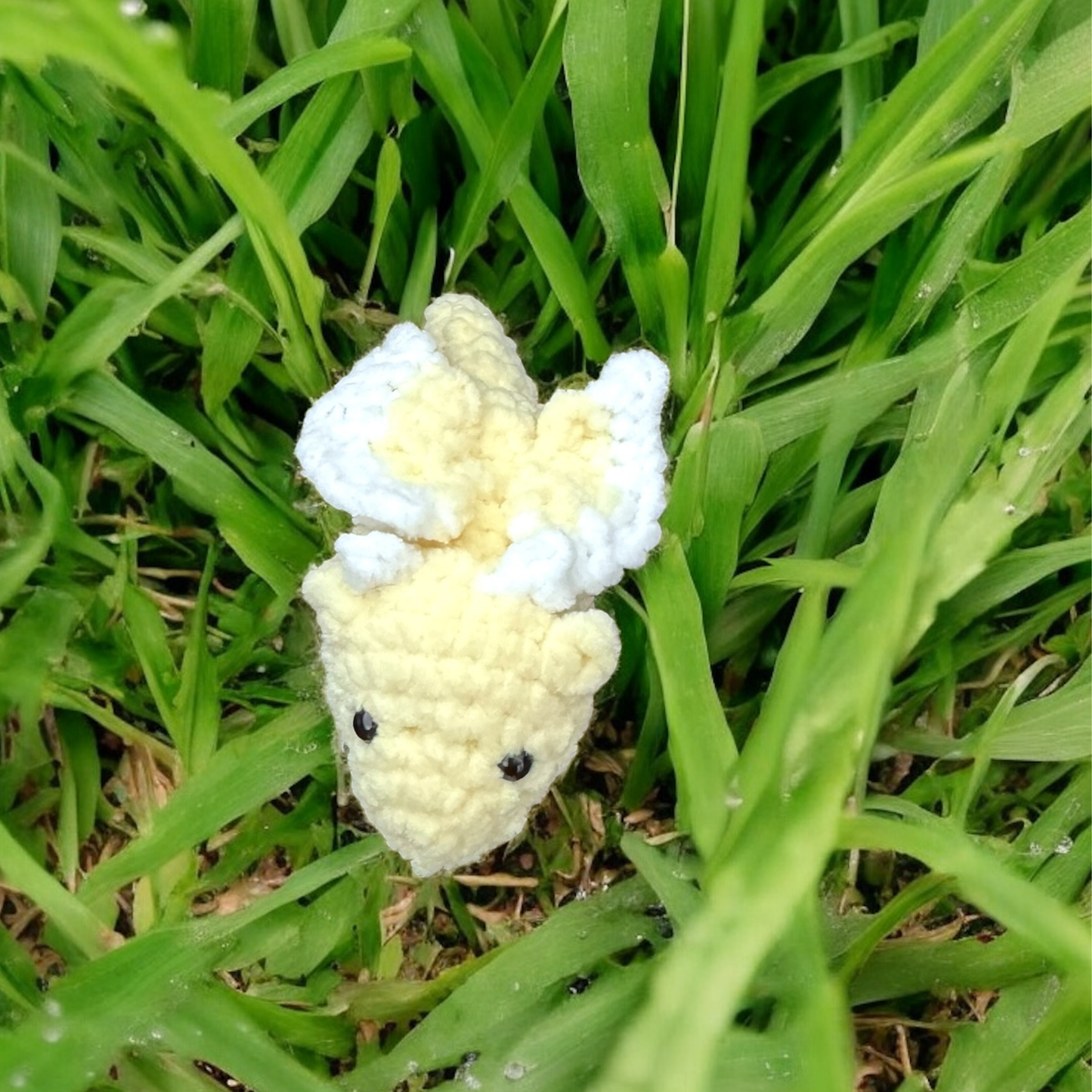 Baby dragon