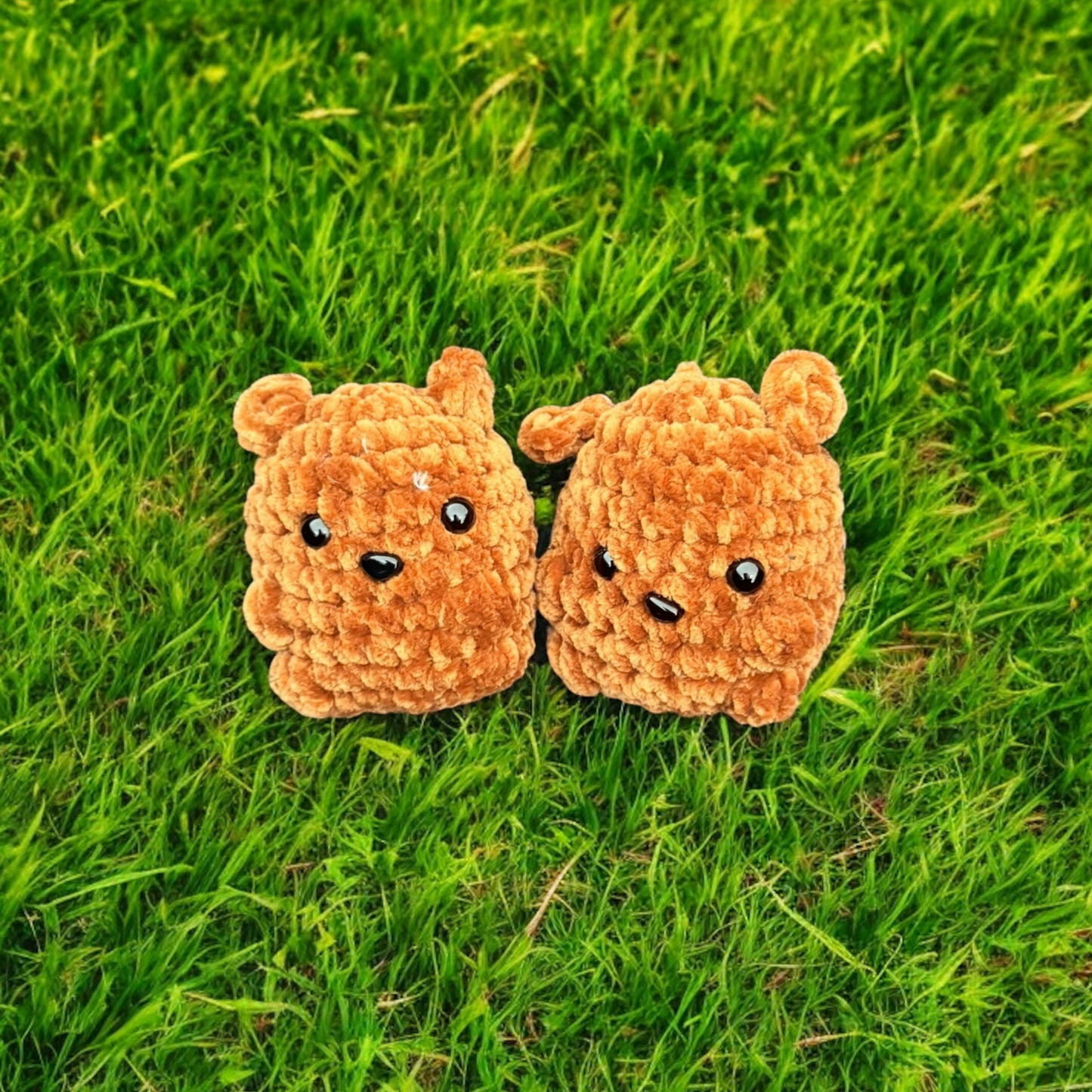 Petits animaux
