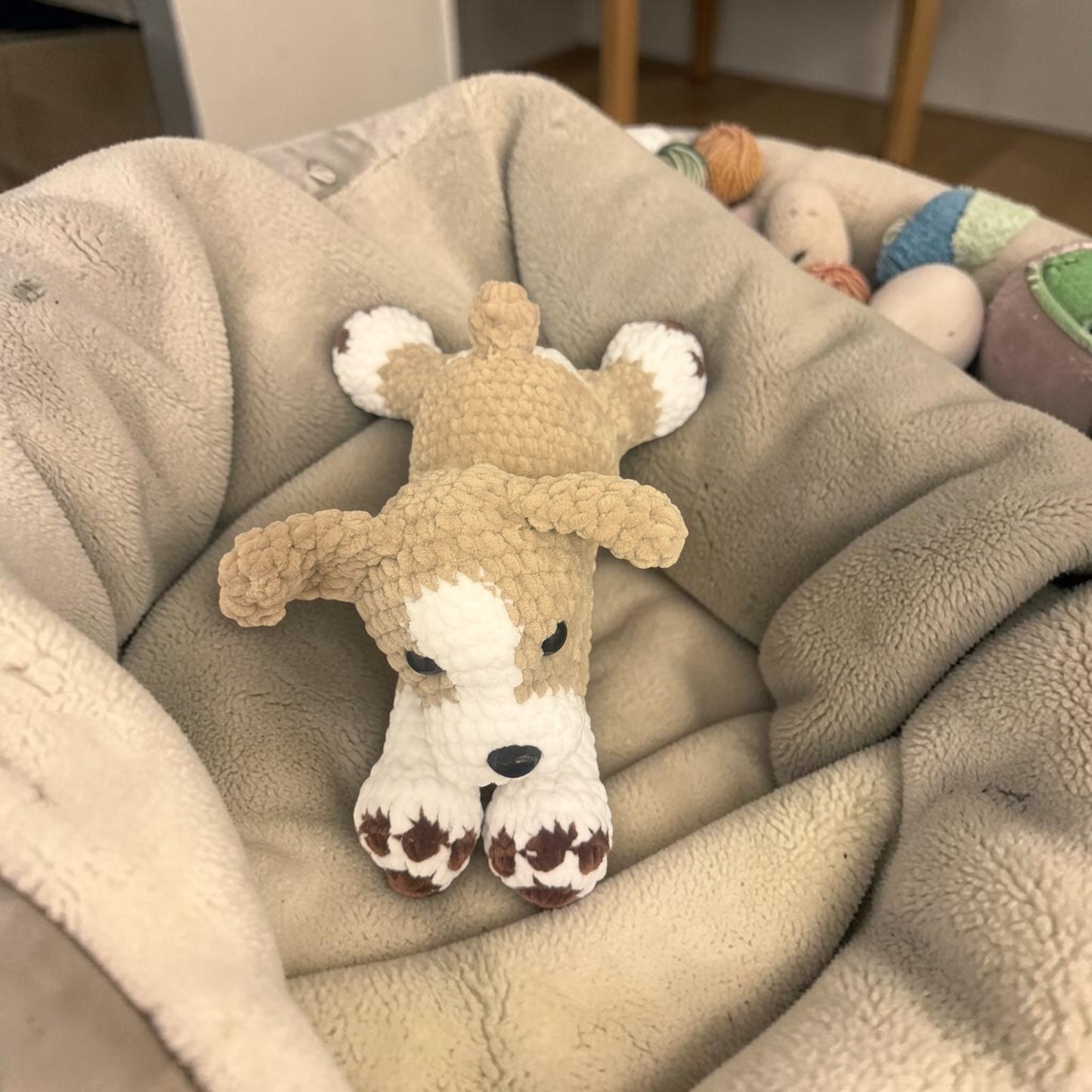 Chien couché