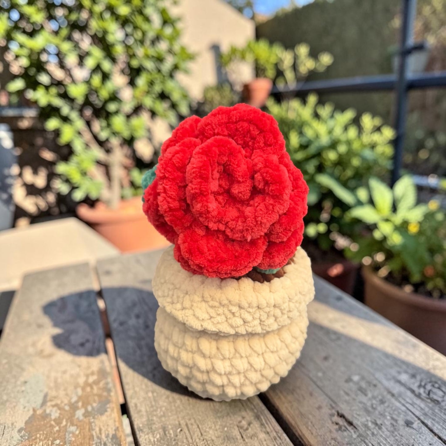 Fleur en pot