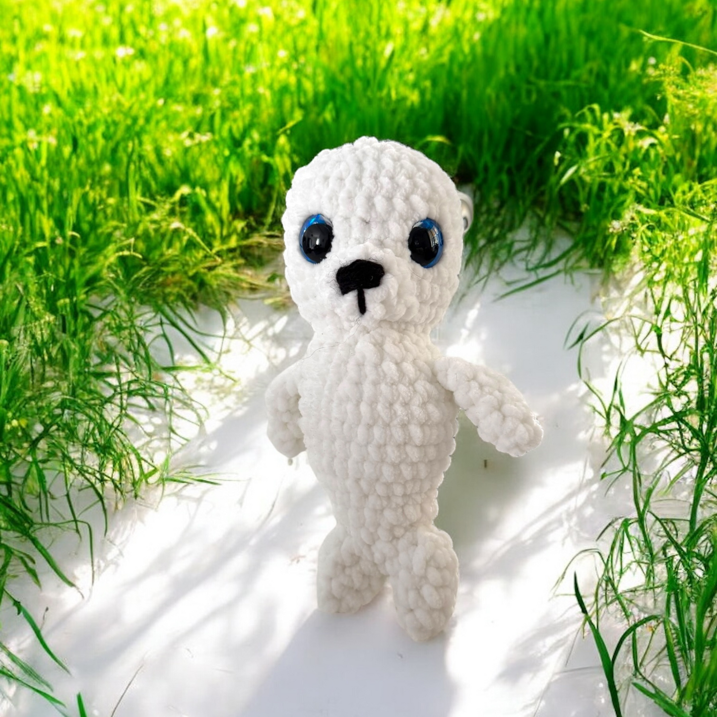 Baby phoque