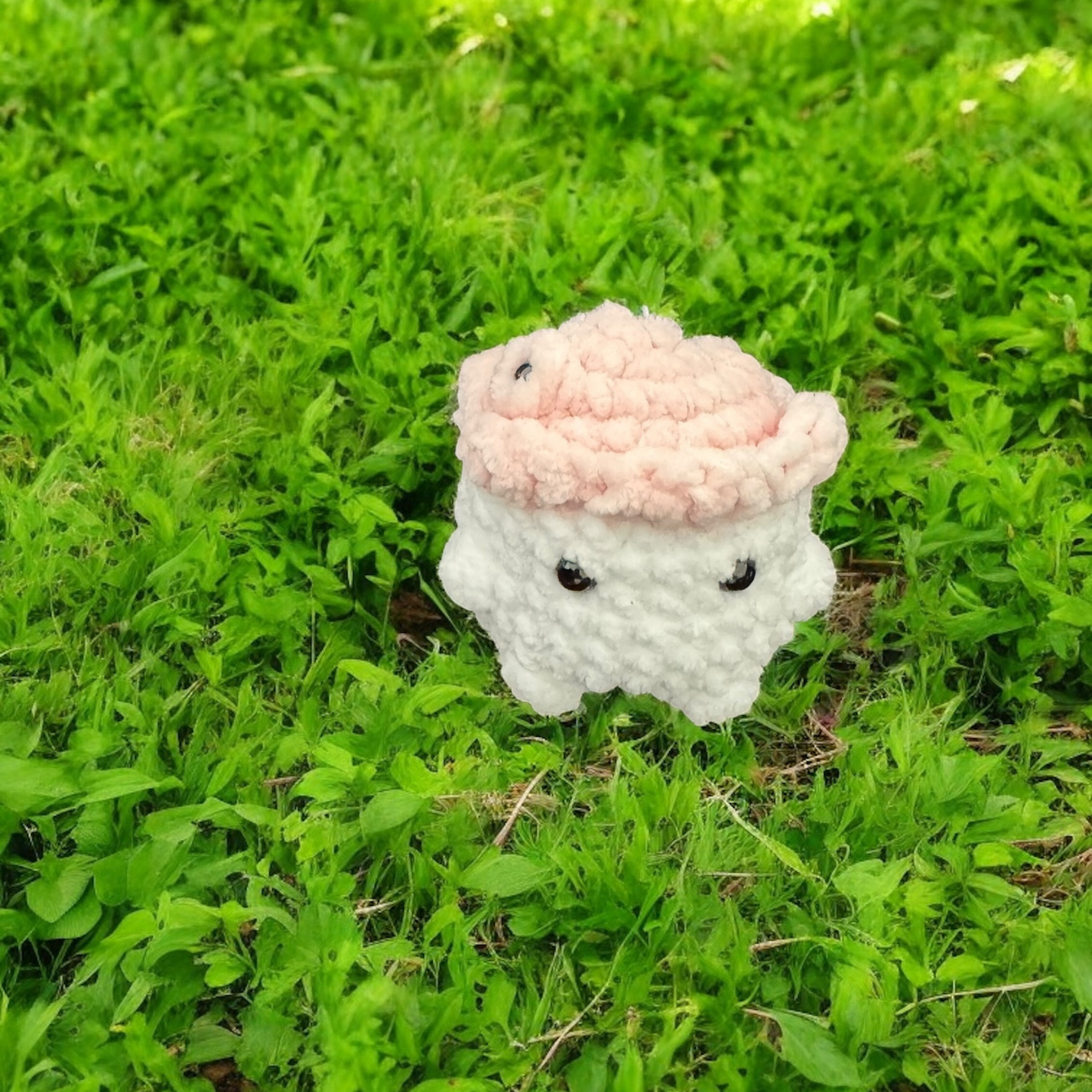Petit champignon
