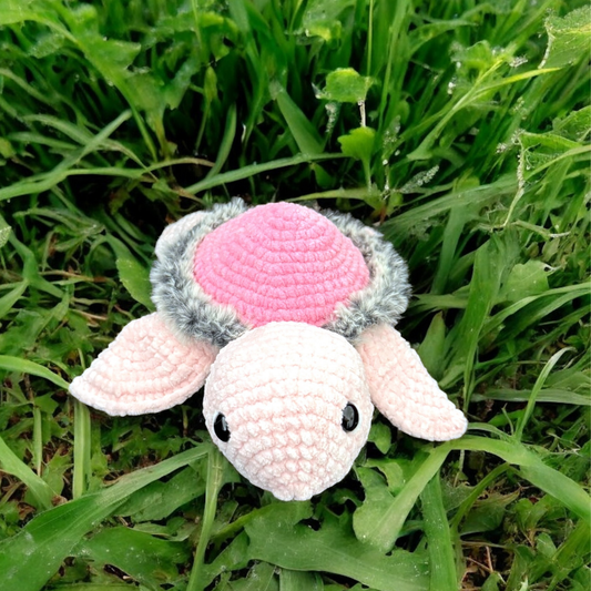 Grande tortue