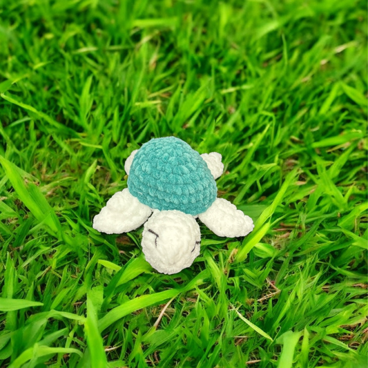 Petite tortue