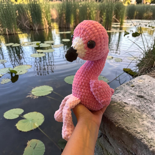 Flamant rose