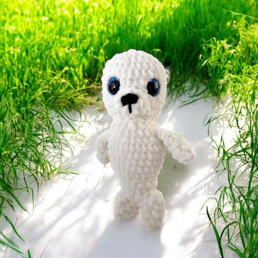 Baby phoque