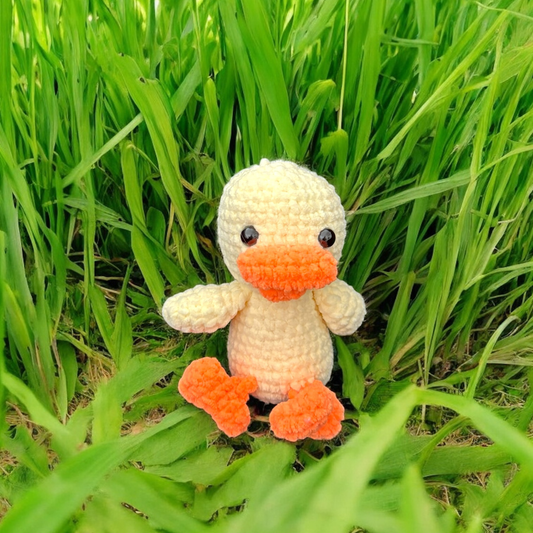 Canard bouée