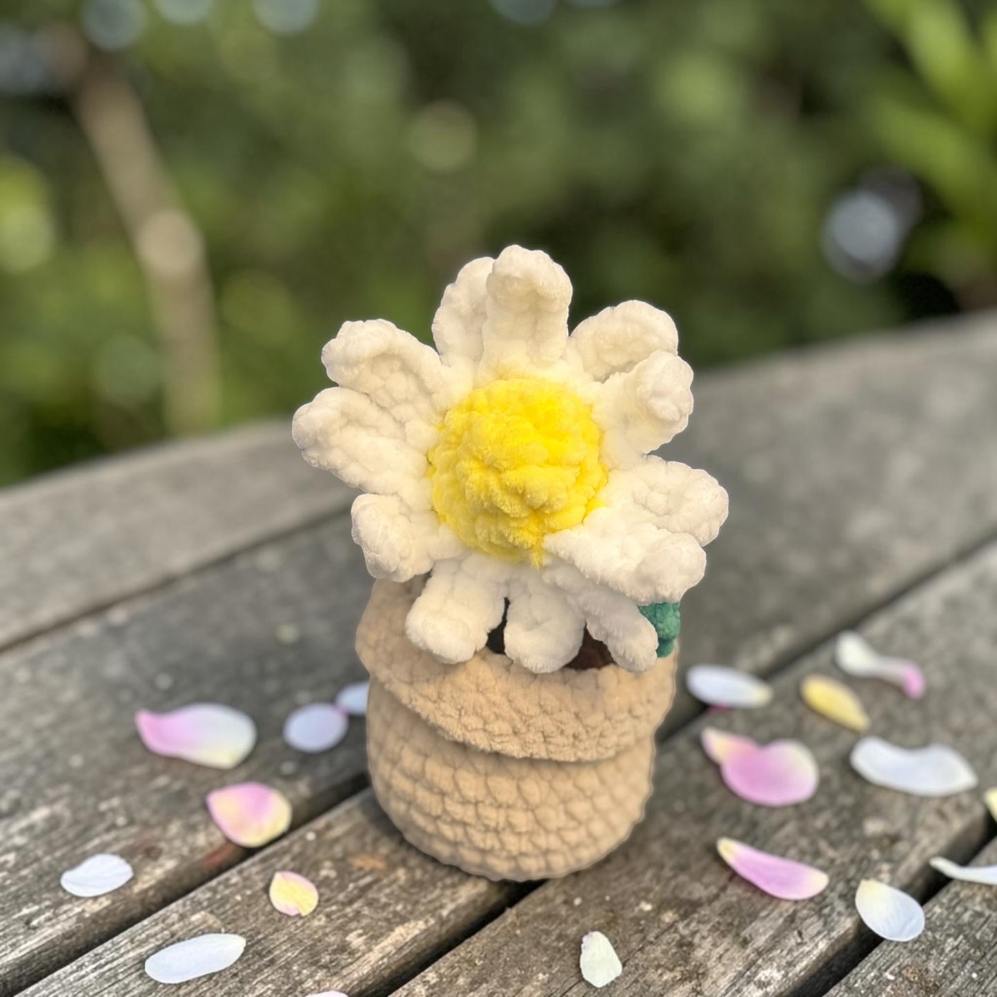 Fleur en pot