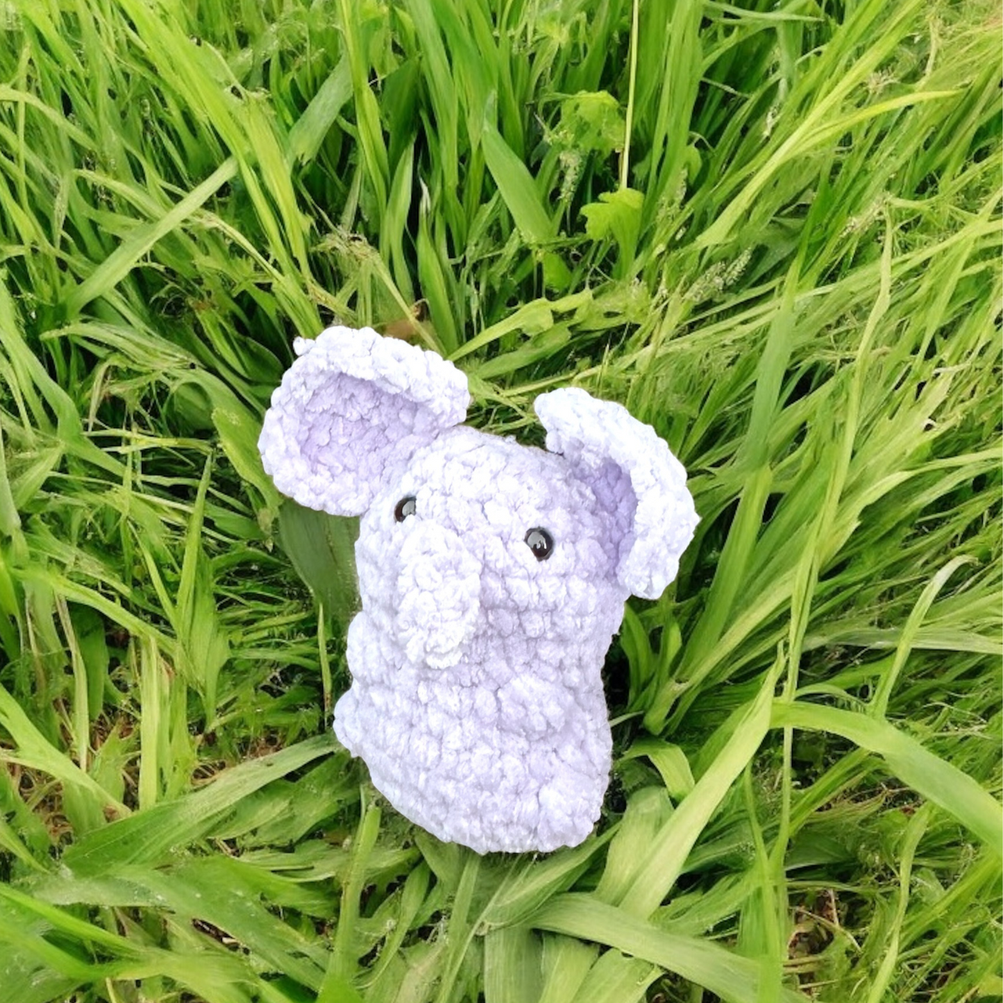 Petit éléphant