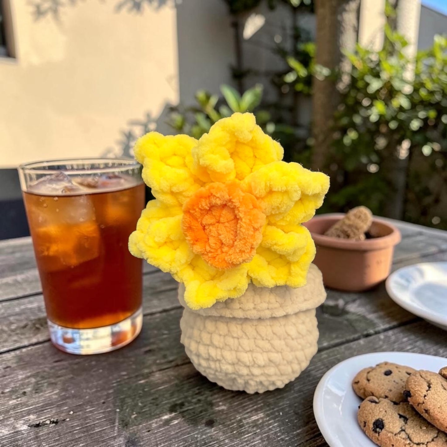 Fleur en pot