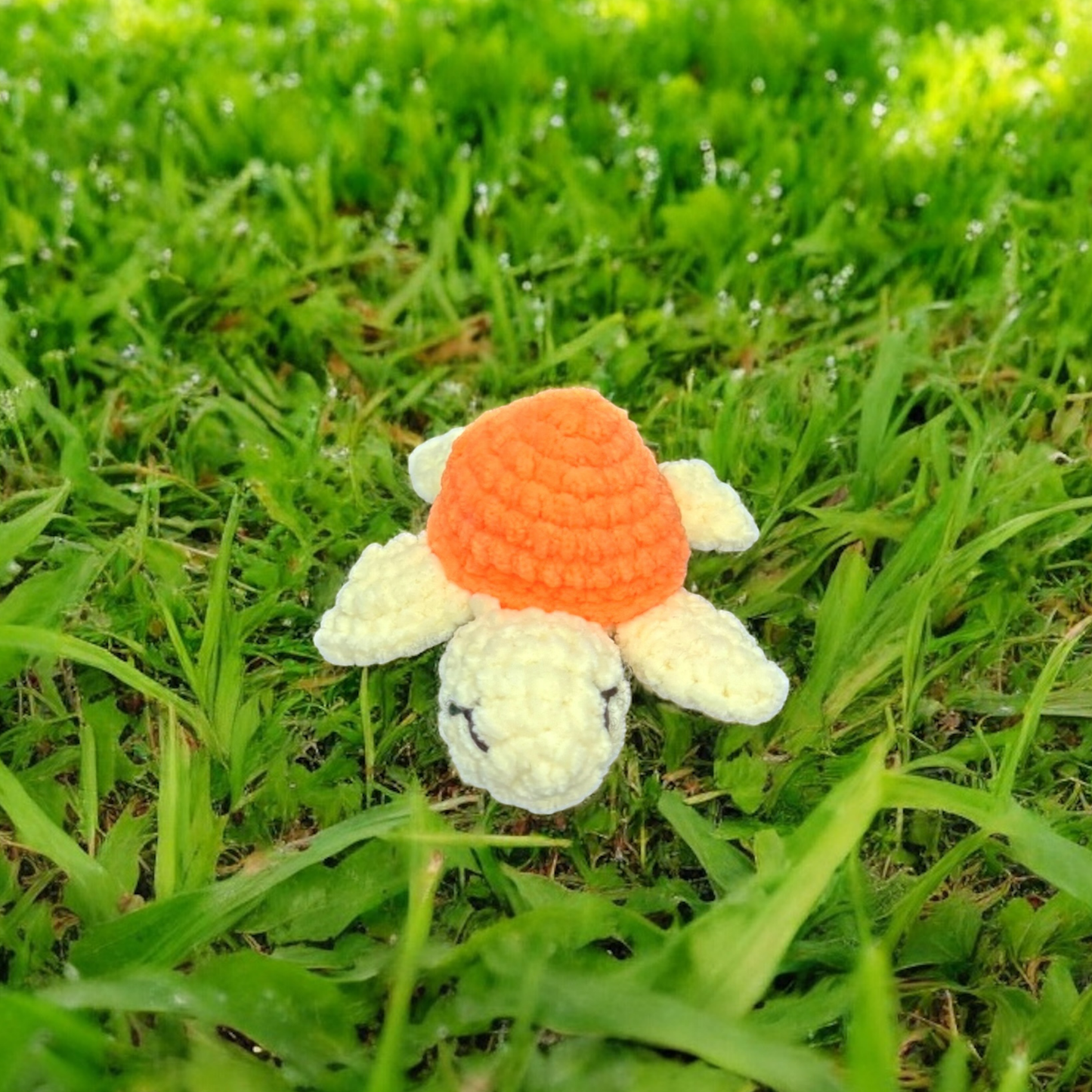 Petite tortue