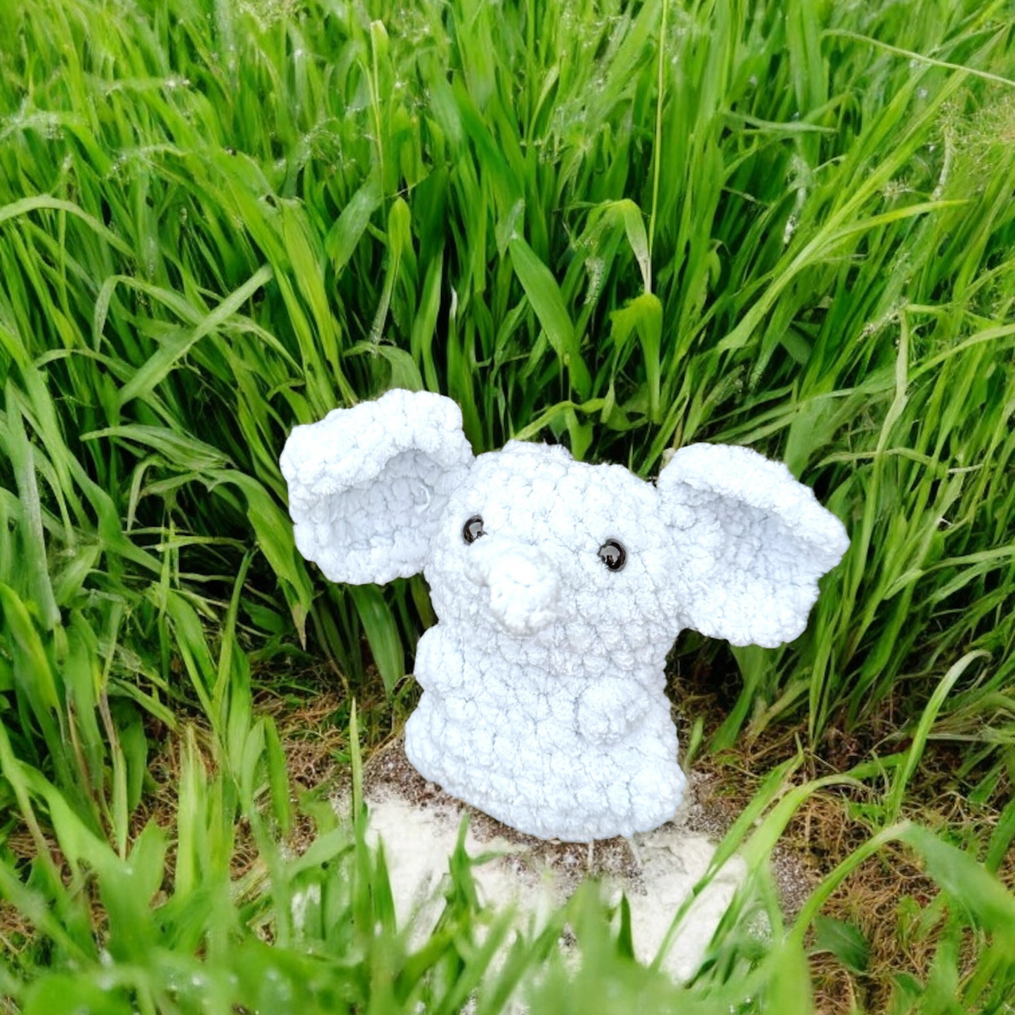 Petit éléphant