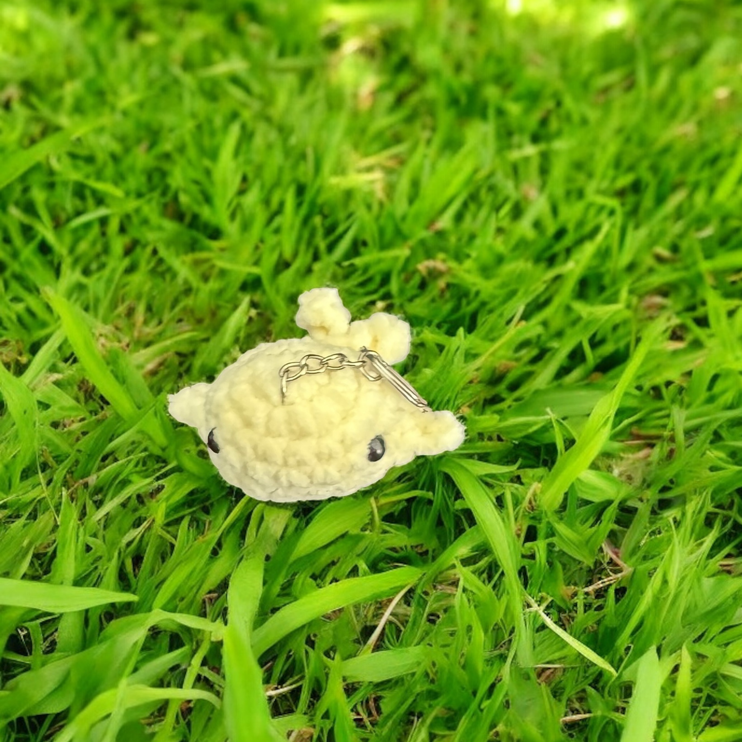 Mini baleine