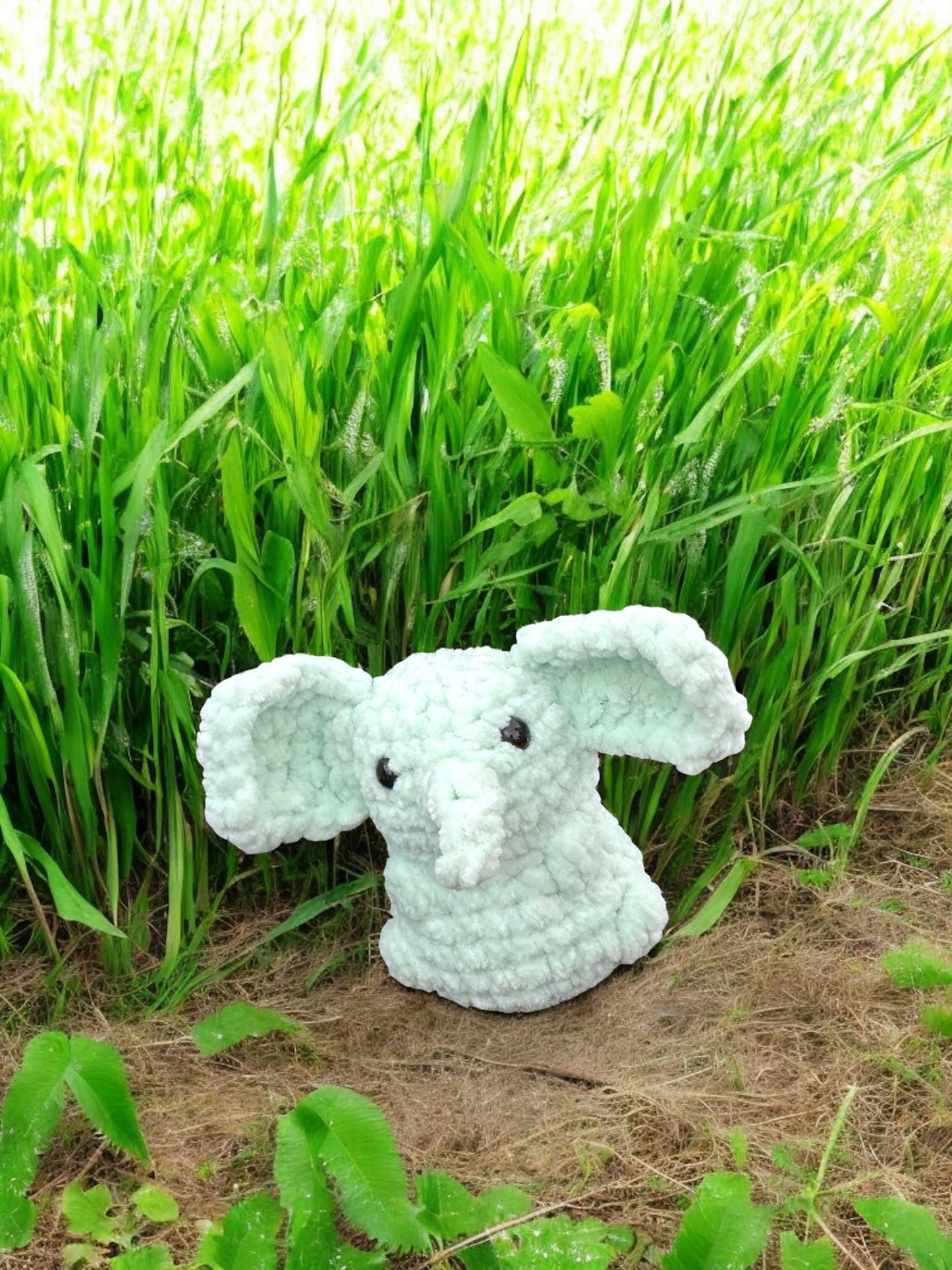 Petit éléphant