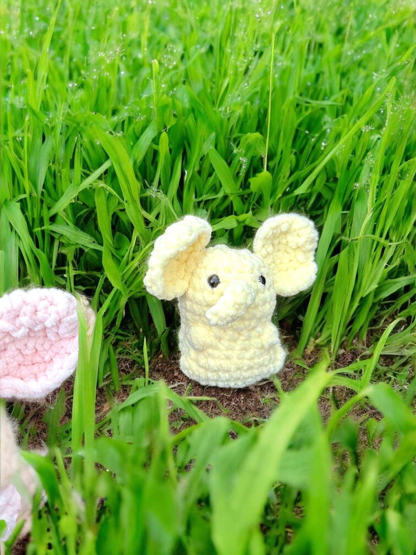 Petit éléphant