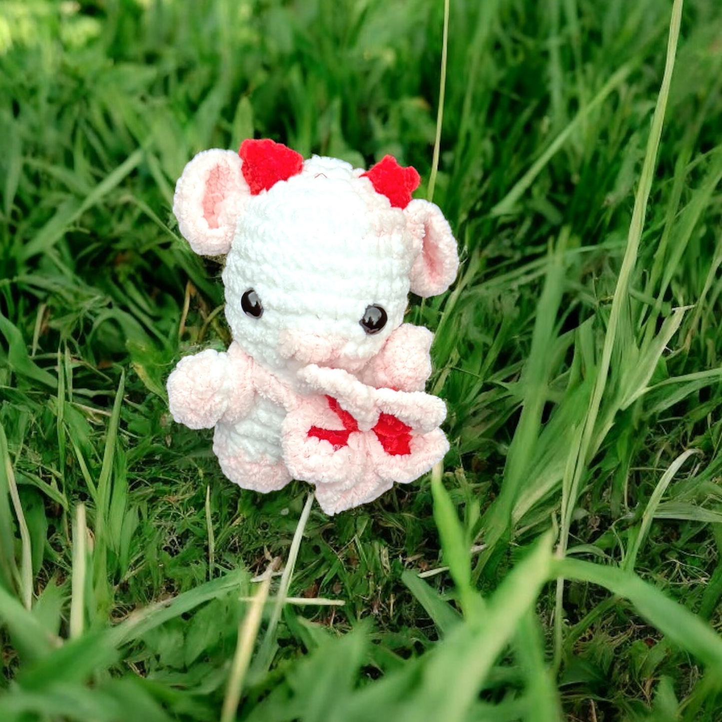 Petits animaux