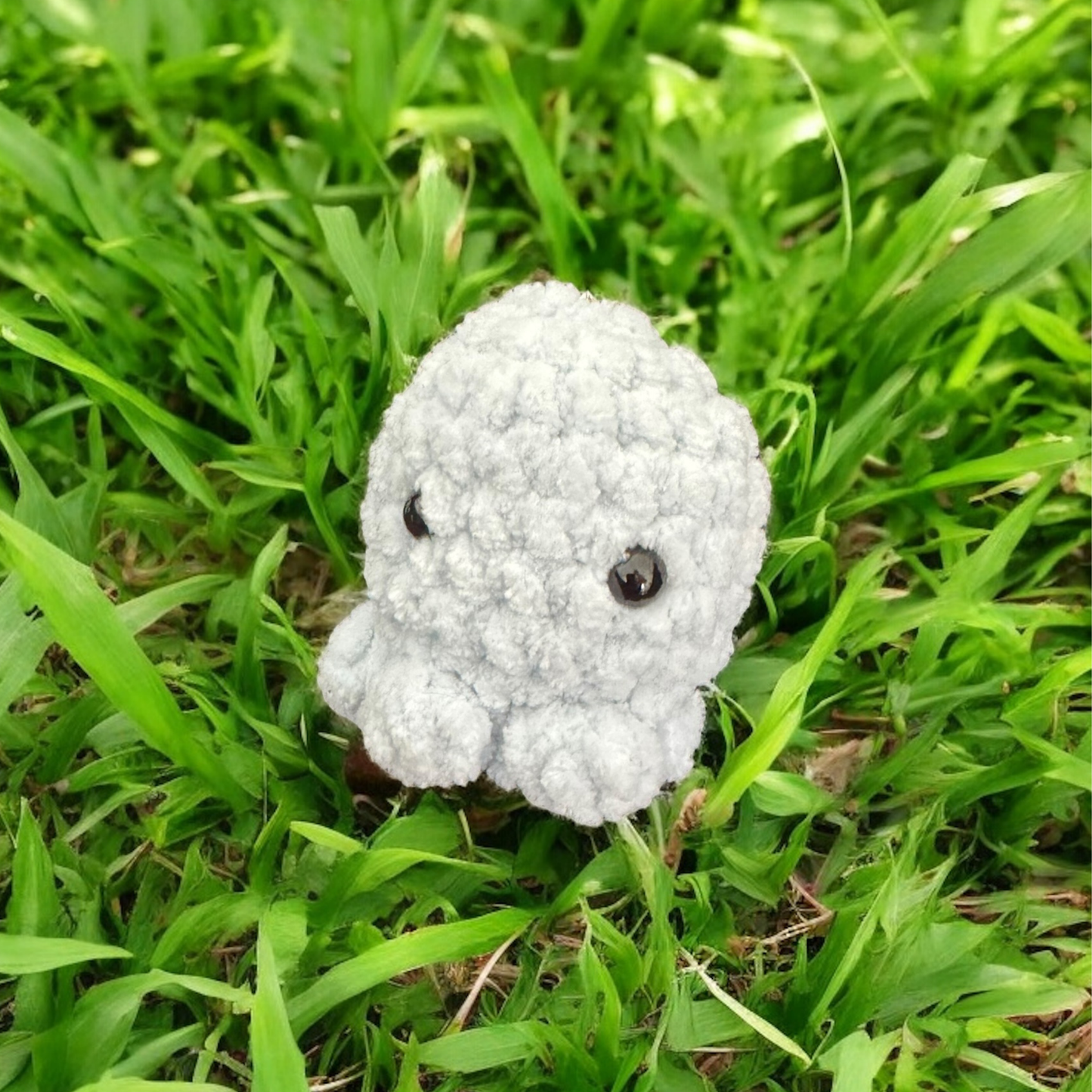 Mini poulpe