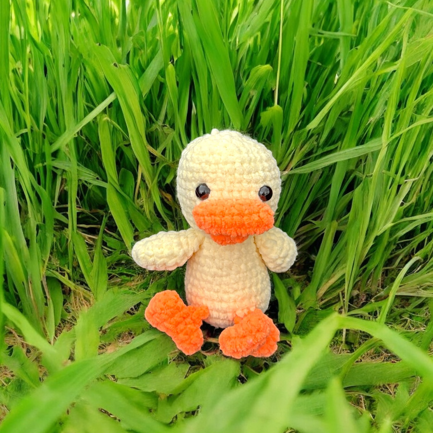 Canard bouée