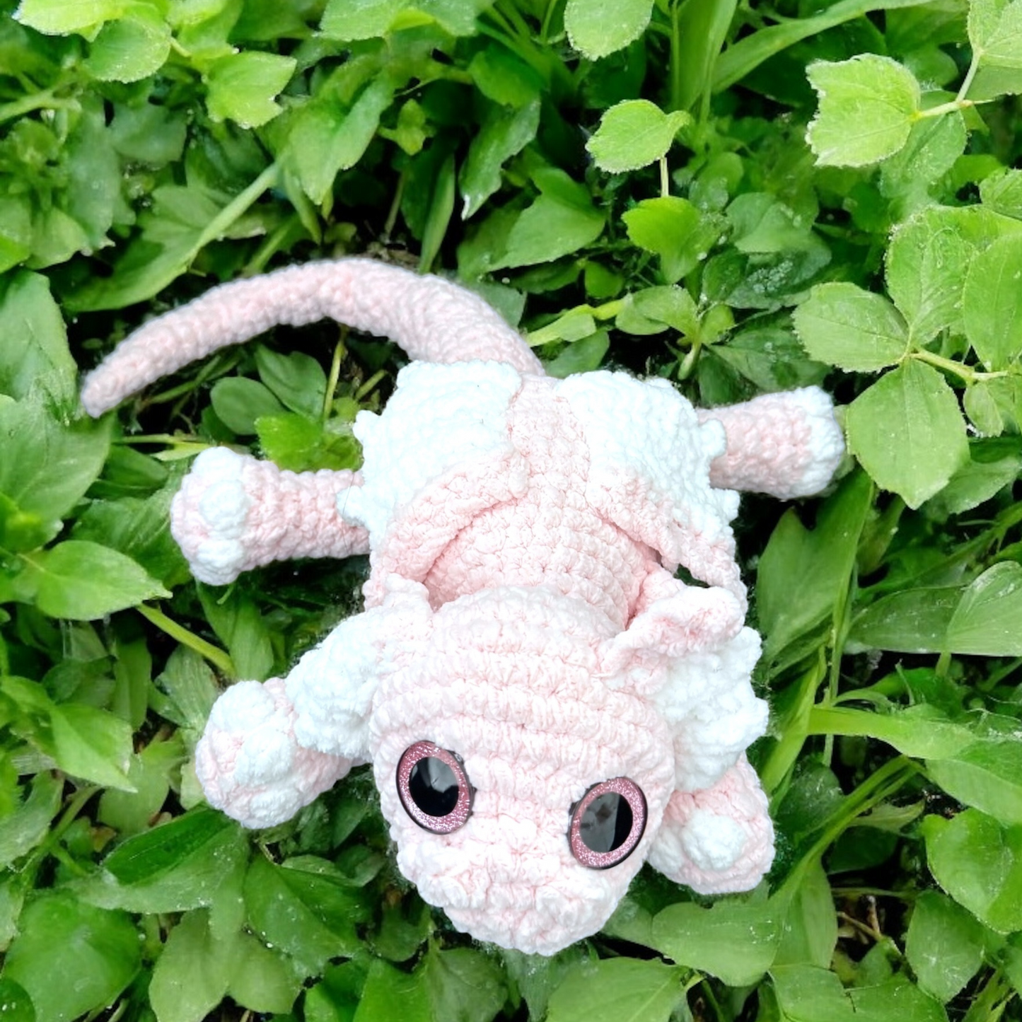 Sora le dragon