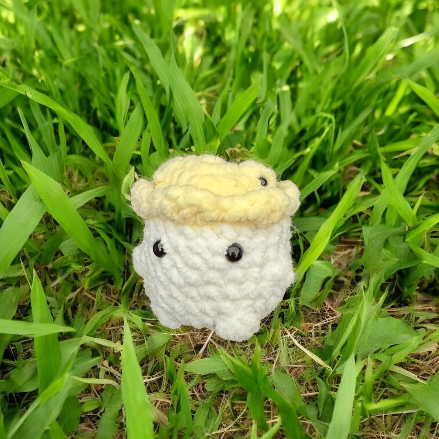 Petit champignon