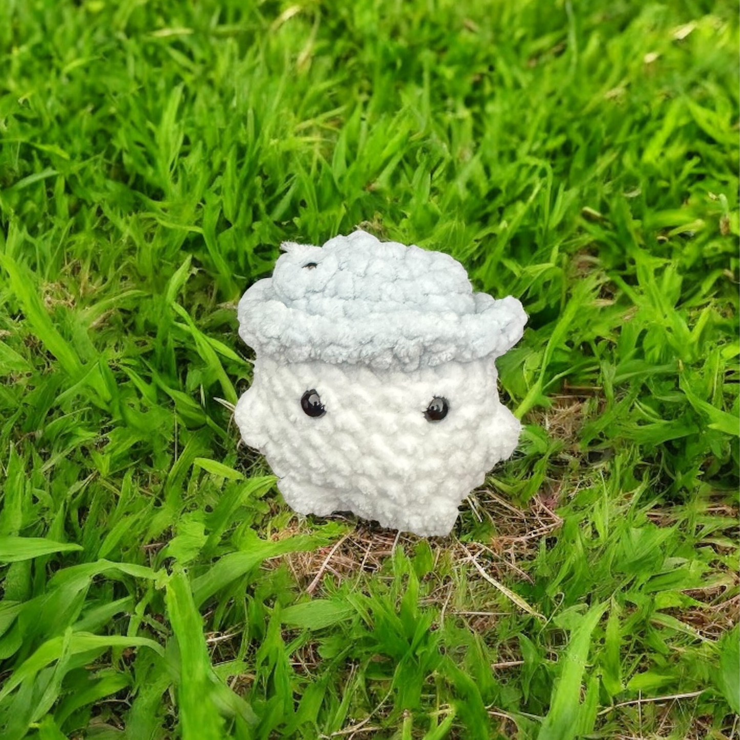 Petit champignon