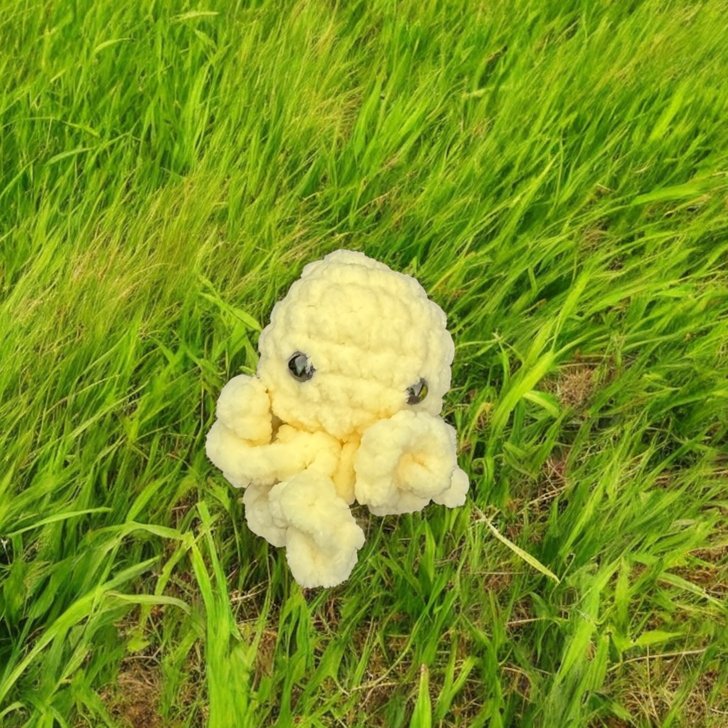 Mini pieuvre
