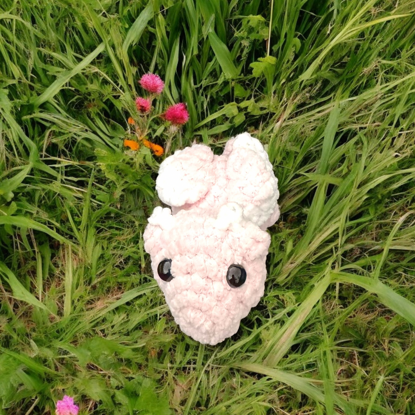 Petit dragon