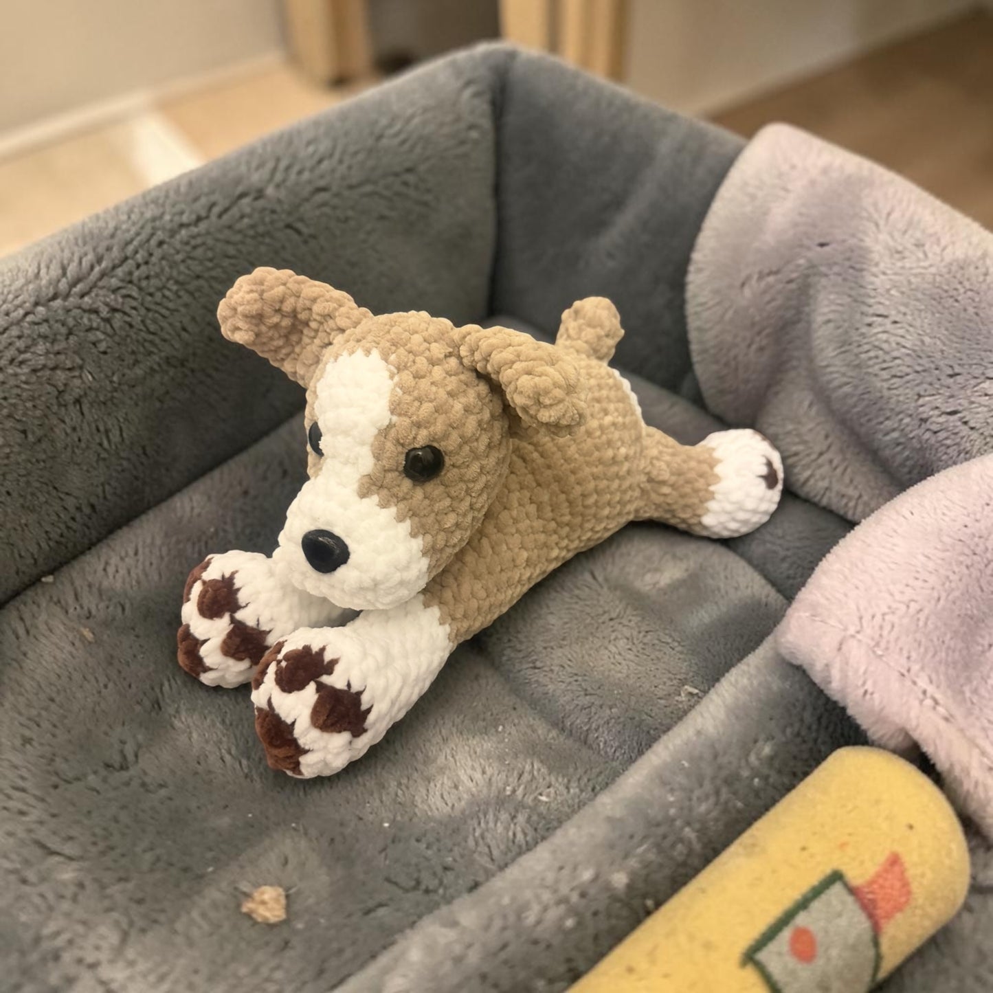 Chien couché